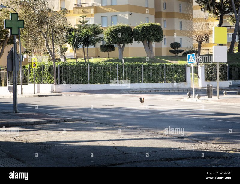 Chicken road - Descubre el Misterio de la Carretera de Pollo en Casinos de España Online Chicken road - Descubre el Misterio de la Carretera de Pollo en Casinos de España Online